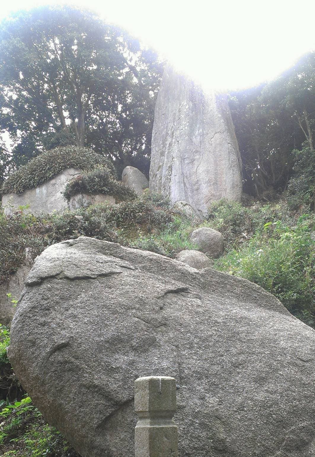 岩上神社の神籬石（ひもろぎのお岩さま）