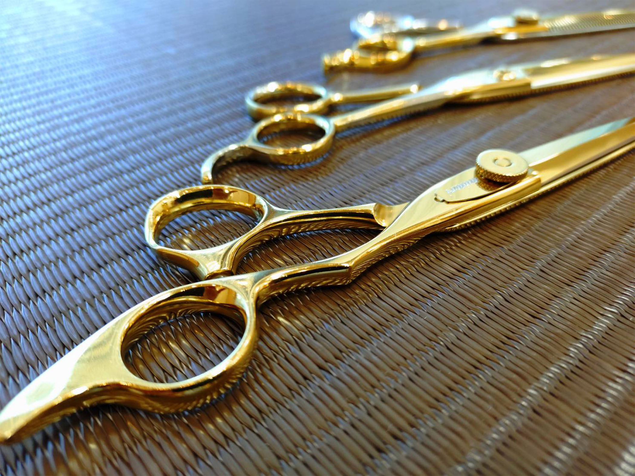 仲間達（ハサミ達）のイメージ