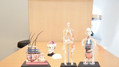 店内装飾3 サムネイル